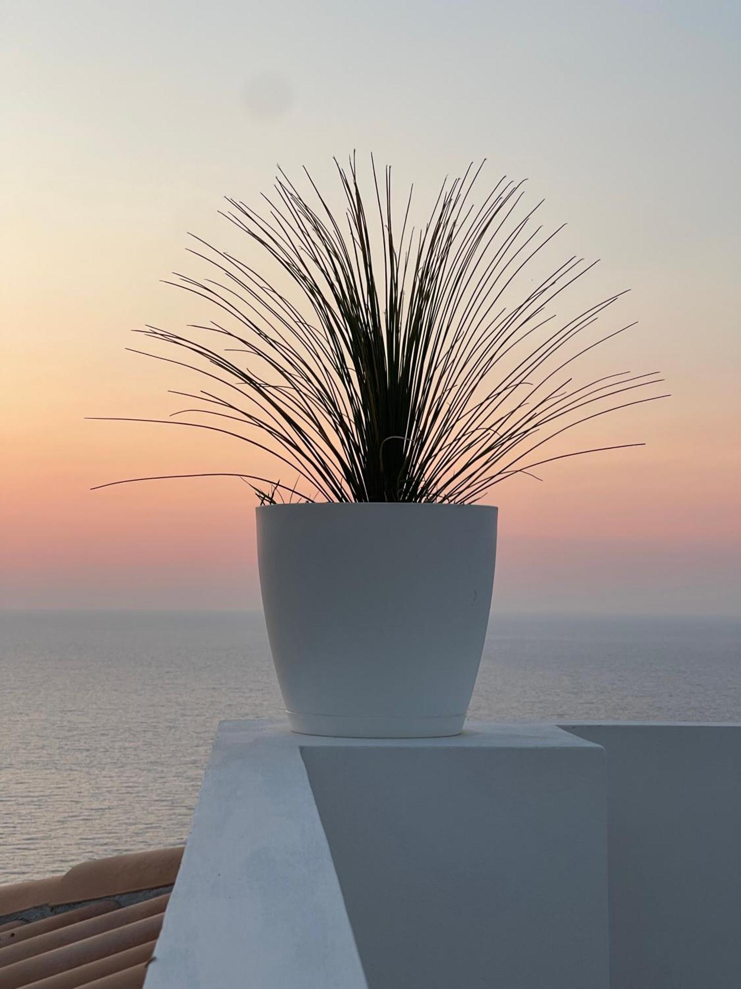 זמברונה Villa Sofia *Luxury Experience In Calabria מראה חיצוני תמונה